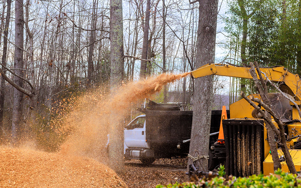 A machine mulching wood and throwing it out a chute